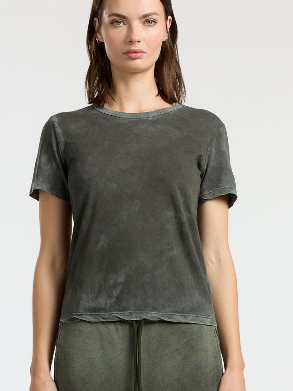 Cotton Citizen Crewneck Standard Tee Vintage Alpine
